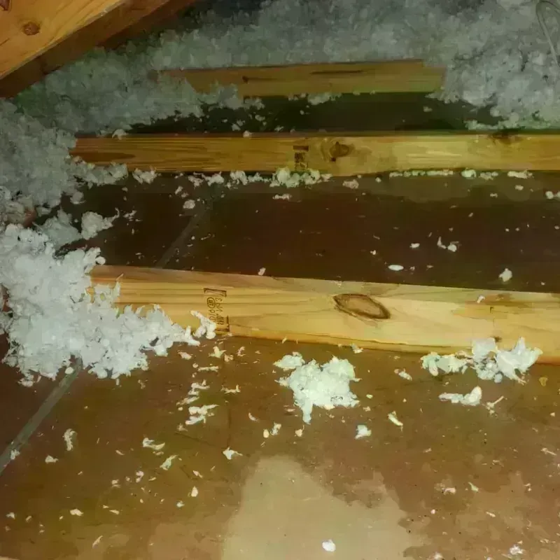 Attic Water Damage in Summit, MS