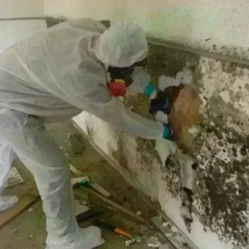 Mold Remediation and Removal in Summit, MS