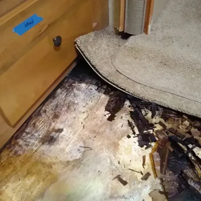 Best Wood Floor Water Damage Service in Summit, MS